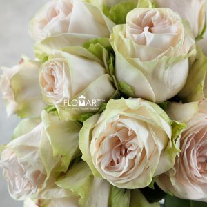 Rosa Wedding Spirit