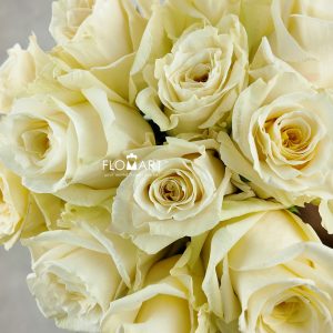 Rosa White Shimmer