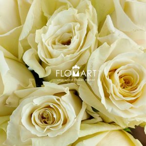 Rosa White Shimmer - Image 2