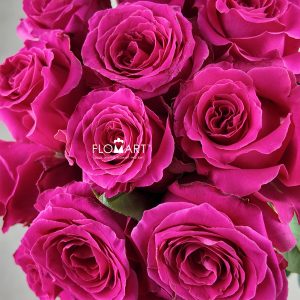 Rose Full Monty
