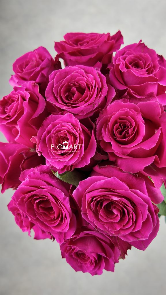 Rose Full Monty