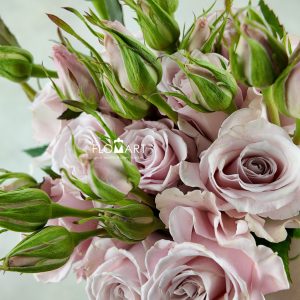 Rose Garden Spray Maria Pia