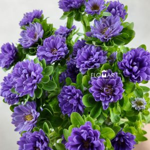 Sakura Daisy Purple