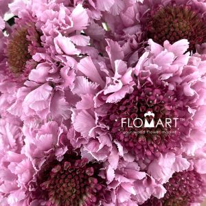Scabiosa Candy Scoop - Image 2