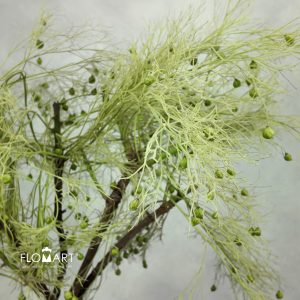 Soft Silk Green