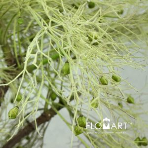 Soft Silk Green - Image 2