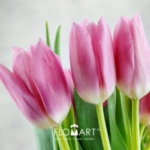 Tulip Singel Matchmaker - Image 2