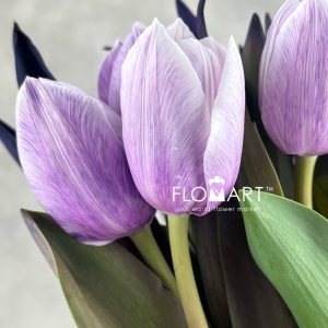 Tulip VIP singel Pastel Violet - Image 2