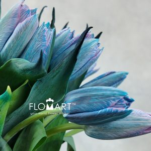 Tulip VIP single Gypsy Blue - Image 2