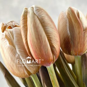 Tulip VIP single Soft Caramel - Image 2