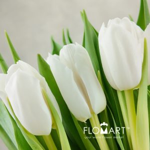 Tulip double Galileo - Image 2