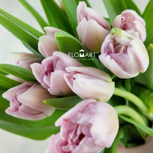 Tulip double Mariage