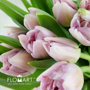 Tulip double Mariage - Image 2