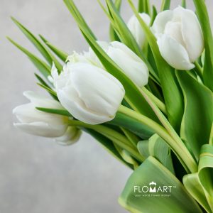 Tulip double The Edge