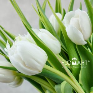 Tulip double The Edge - Image 2