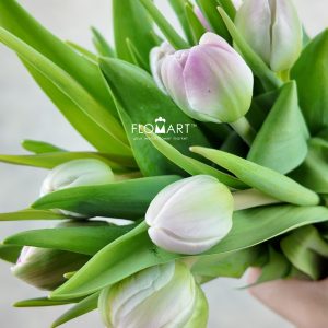 Tulip double Voque