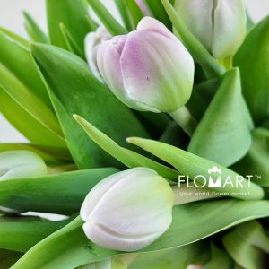 Tulip double Voque - Image 2