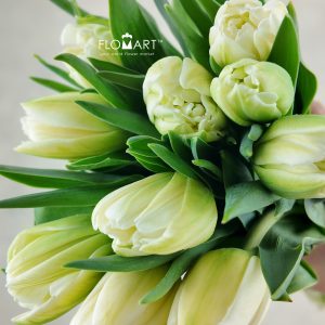 Tulip double White Foxfort
