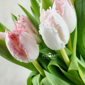 Tulip fringed Negligee