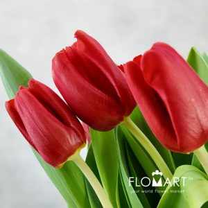 Tulip single Escape - Image 2