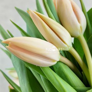 Tulip single Nel Boots