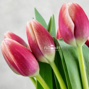 Tulip single Outfit