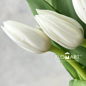 Tulip single Royal Virgin - Image 2