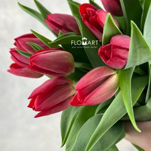Tulip single Seadov