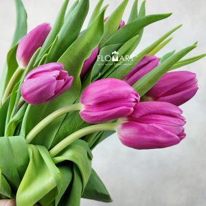 Tulip single Sirikit