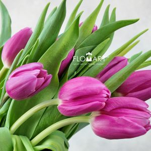 Tulip single Sirikit - Image 2