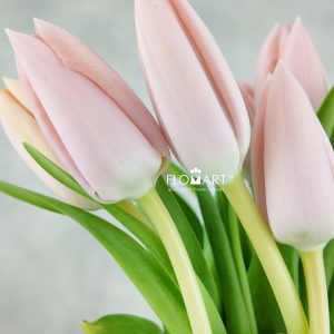 Tulip single This Boots