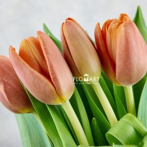 Tulip single Time Out