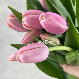 Tulip single Tresor