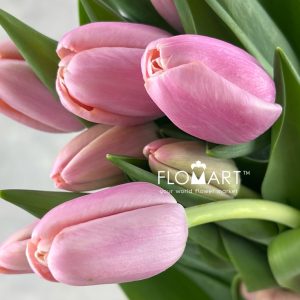 Tulip single Tresor - Image 2