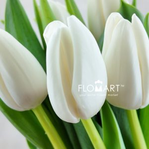Tulip single Update - Image 2