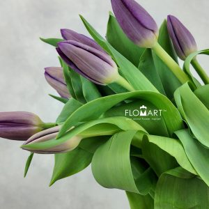 Tulip single Zuzuki