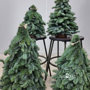 Xmas mini Tree