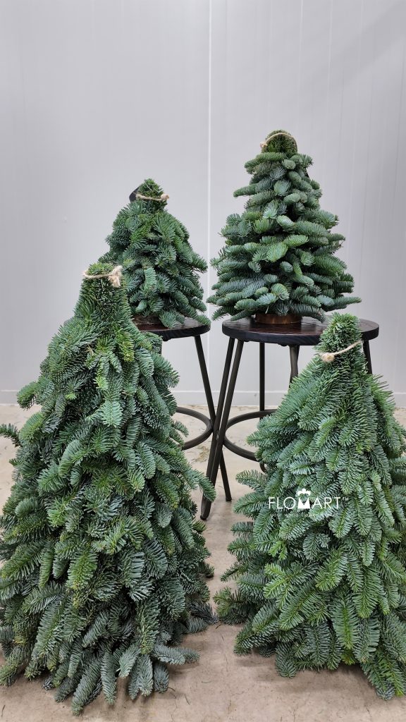 Xmas mini Tree