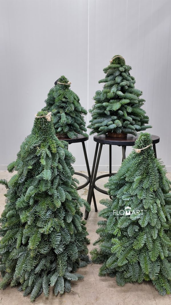 Xmas mini Tree Xmas mini Tree