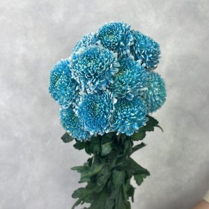 Gompie Dyed Blue Ocean