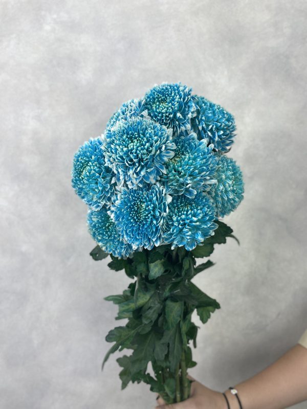 Gompie Dyed Blue Ocean