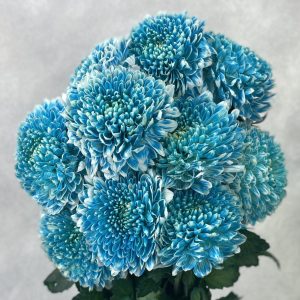 Gompie Dyed Blue Ocean - Image 2
