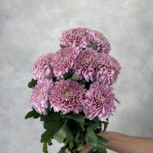 Gompie Dark Pink - Image 2