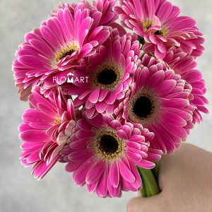 Gerbera Mascara - Image 2
