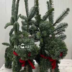 Nobilis Rainder - Image 2