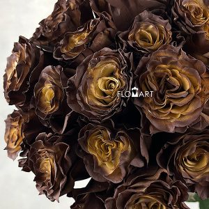 Rosa Painted Chocolate