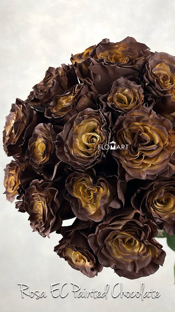 Rosa Painted Chocolate
