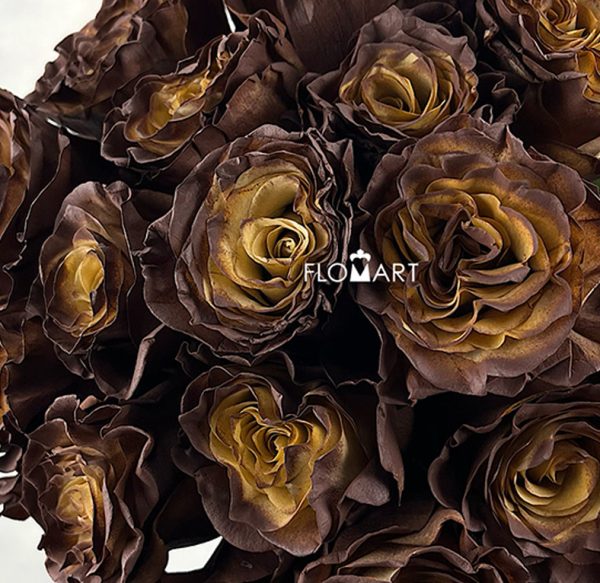 Rosa Painted Chocolate