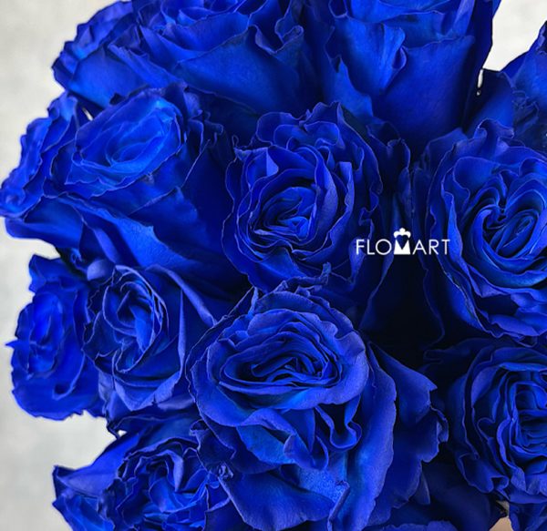 Rosa Painted Mondial Blue
