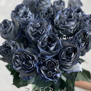 Rosa Painted Mondial Grey - Image 2